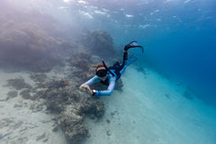 Blue Manta Women’s Rash Guard - Silhouette Edition